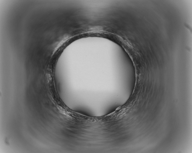 X0000096381400200802141420