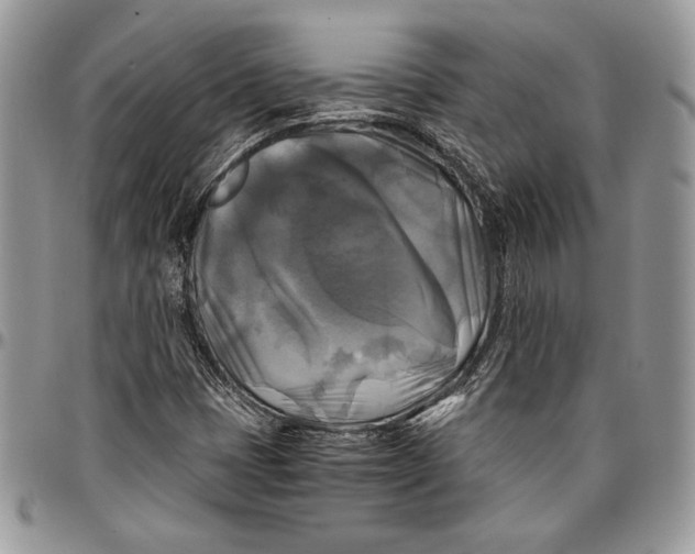 X0000096381401200802141420