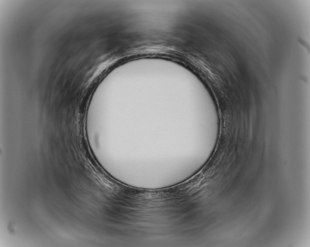 X0000096381404200802141420