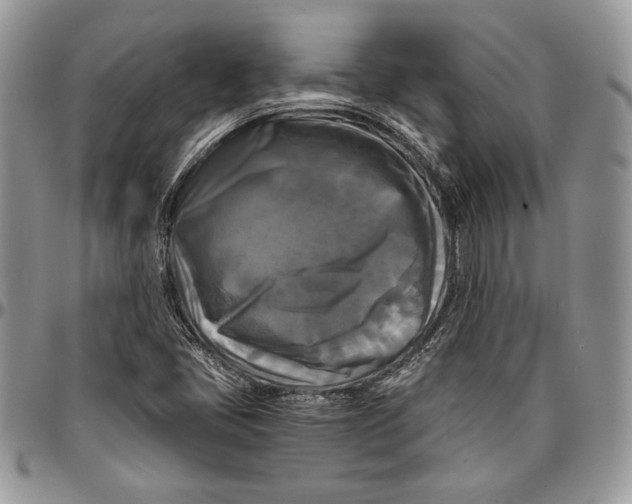 X0000096381405200802141420