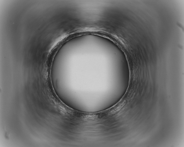 X0000096381406200802141420