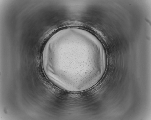 X0000096381407200802141420