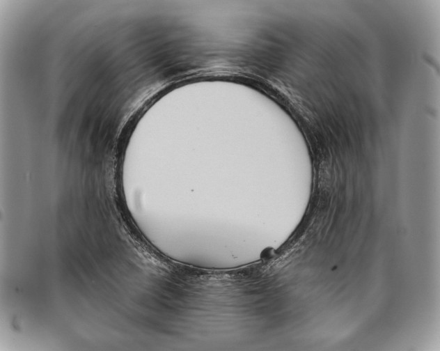 X0000096381410200802141421