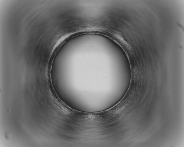 X0000096381412200802141421