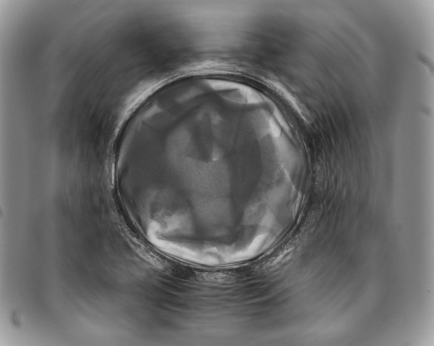 X0000096381413200802141421