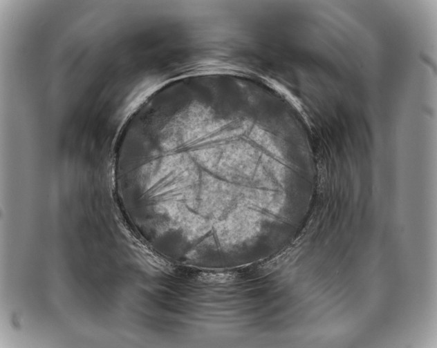 X0000096381415200802141421