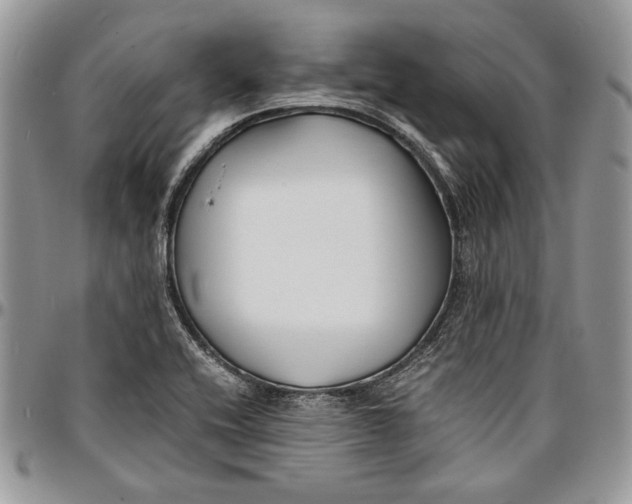 X0000096381416200802141421