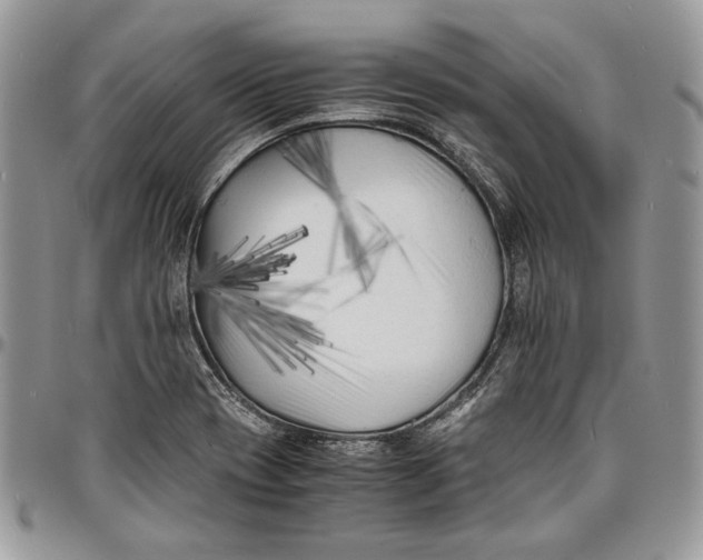 X0000096381417200802141421