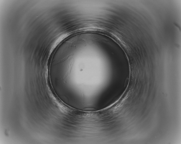 X0000096381418200802141421