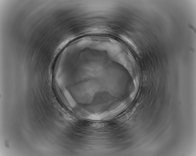 X0000096381419200802141421