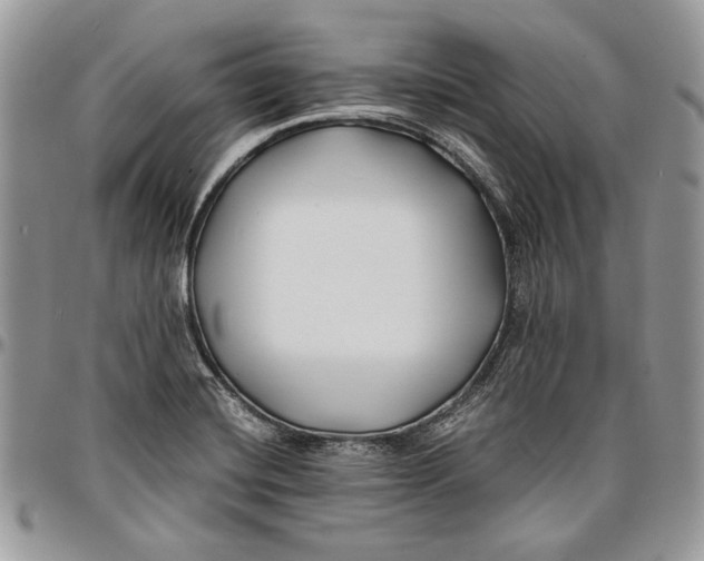 X0000096381420200802141421