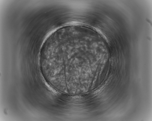 X0000096381421200802141421