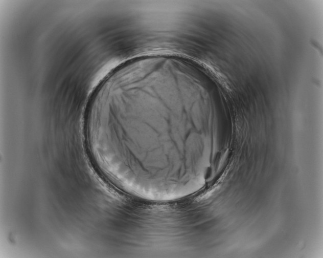 X0000096381422200802141421