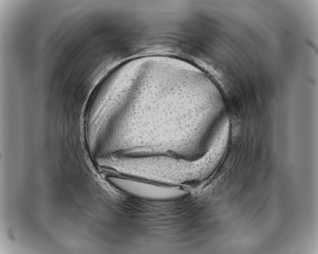 X0000096381423200802141421