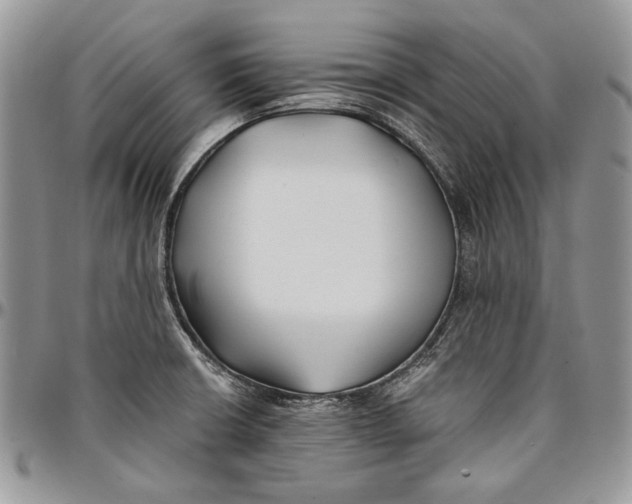 X0000096381426200802141421