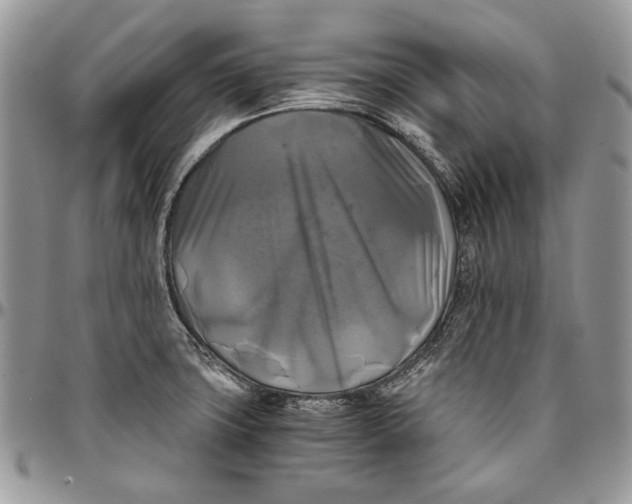 X0000096381427200802141421