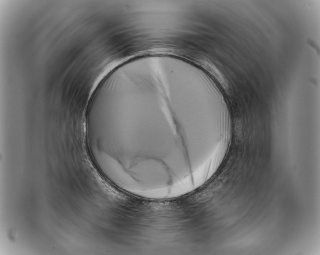 X0000096381428200802141421