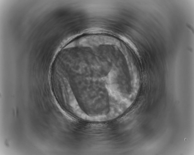 X0000096381429200802141421