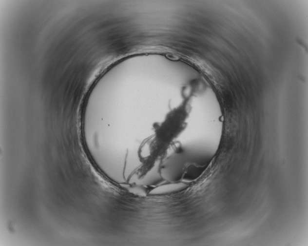 X0000096381430200802141421