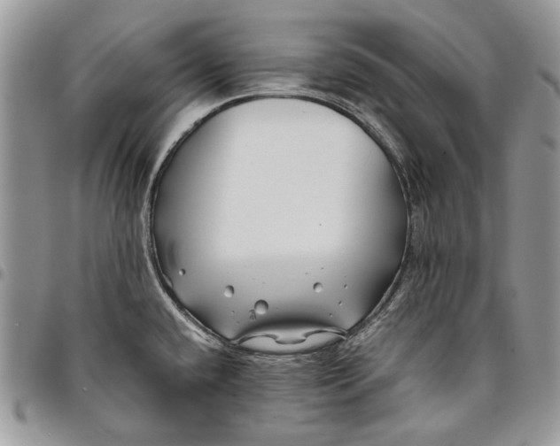 X0000096381432200802141421