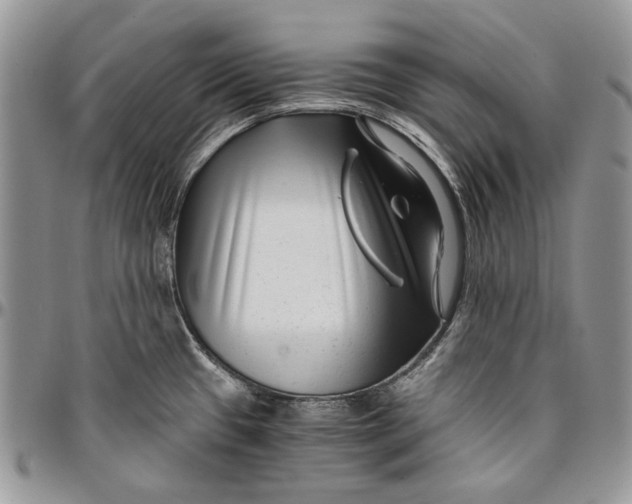 X0000096381433200802141421