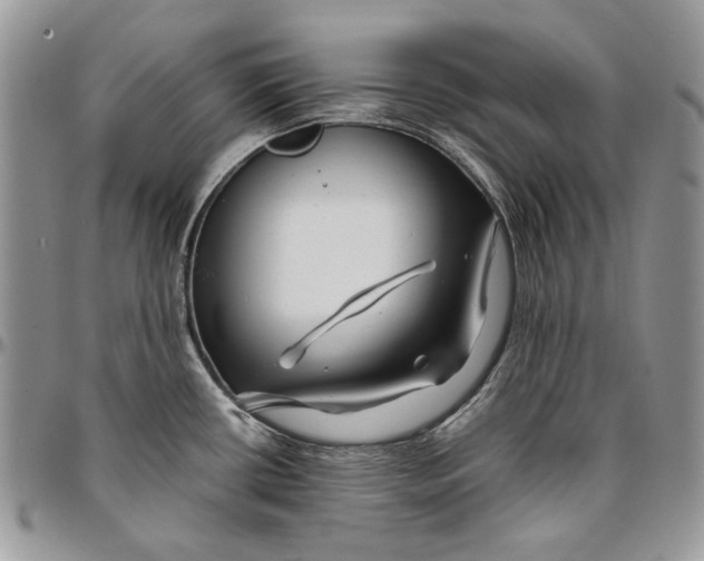 X0000096381434200802141421