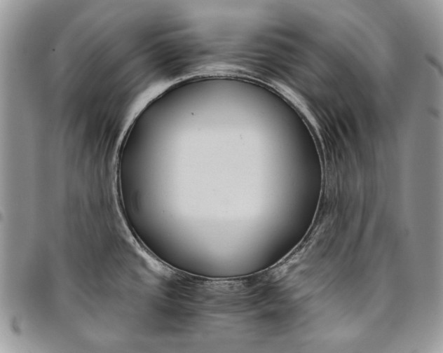 X0000096381437200802141421