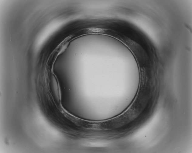 X0000096381438200802141421