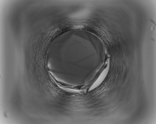 X0000096381441200802141420