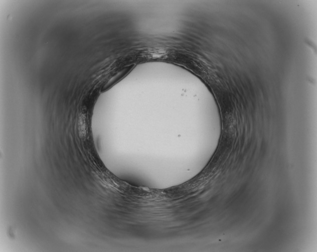 X0000096381442200802141420