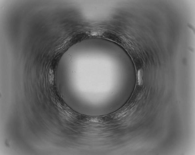 X0000096381443200802141420