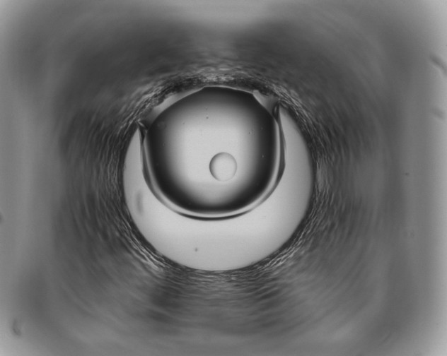 X0000096381444200802141420