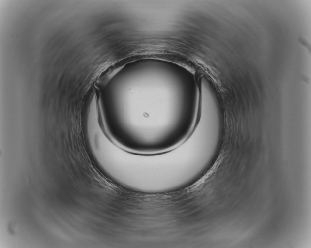 X0000096381449200802141420