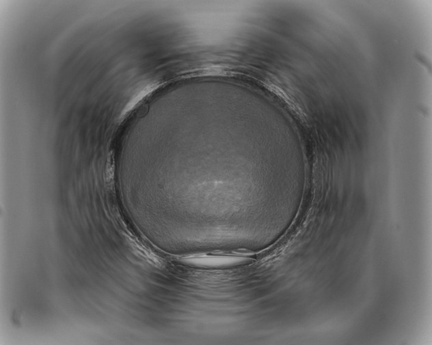 X0000096381450200802141420