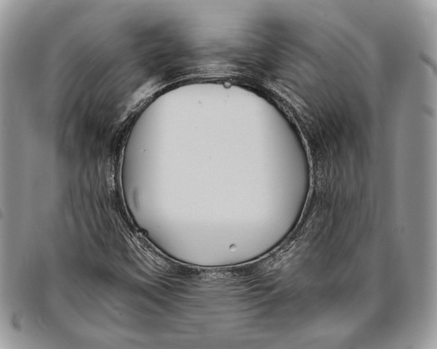 X0000096381451200802141420