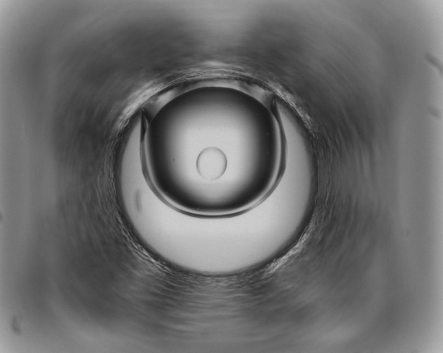 X0000096381453200802141420