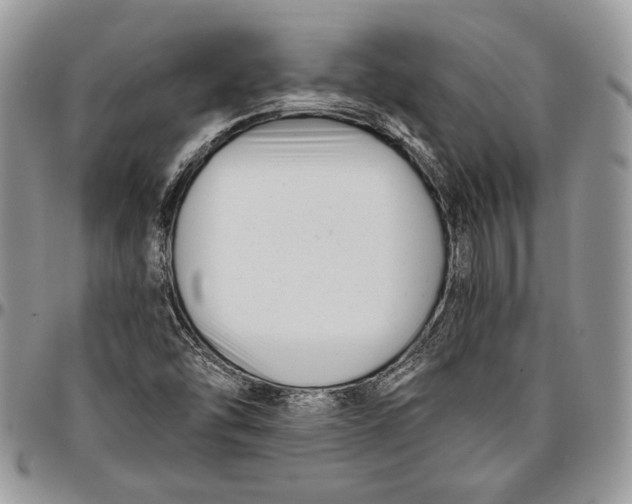 X0000096381454200802141420