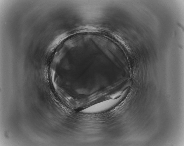 X0000096381455200802141420