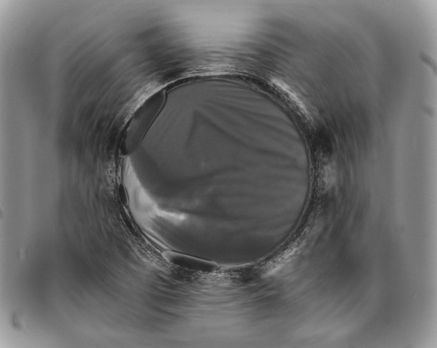 X0000096381457200802141420