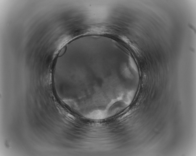 X0000096381459200802141420