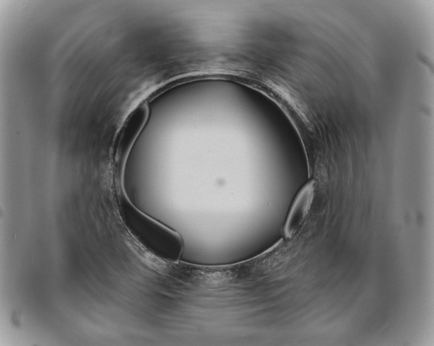 X0000096381460200802141420