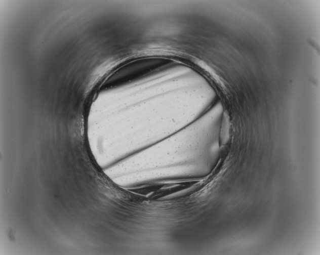 X0000096381461200802141420