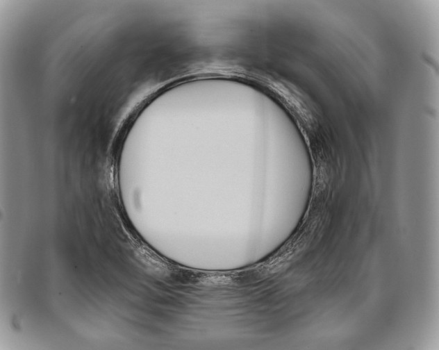 X0000096381462200802141420