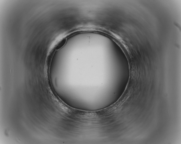 X0000096381464200802141420