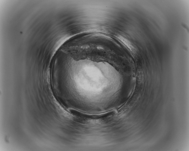 X0000096381468200802141420