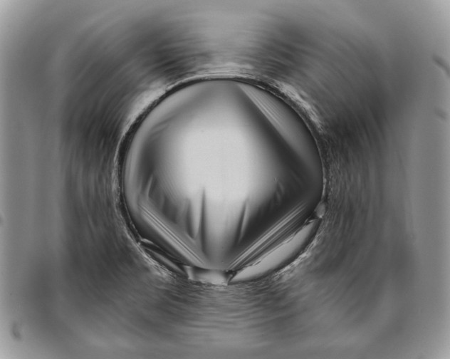 X0000096381469200802141420