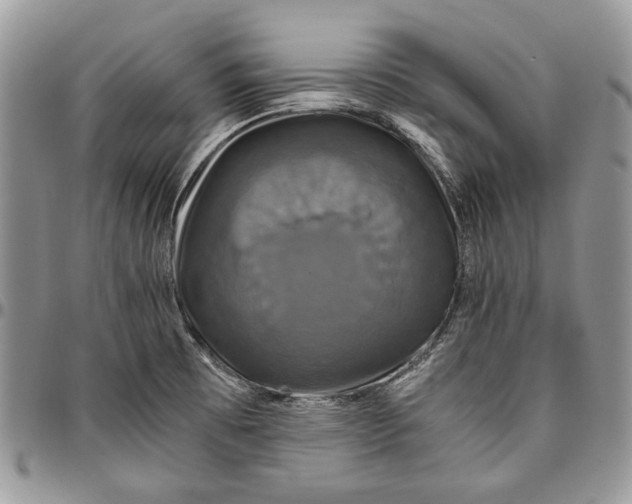 X0000096381473200802141420