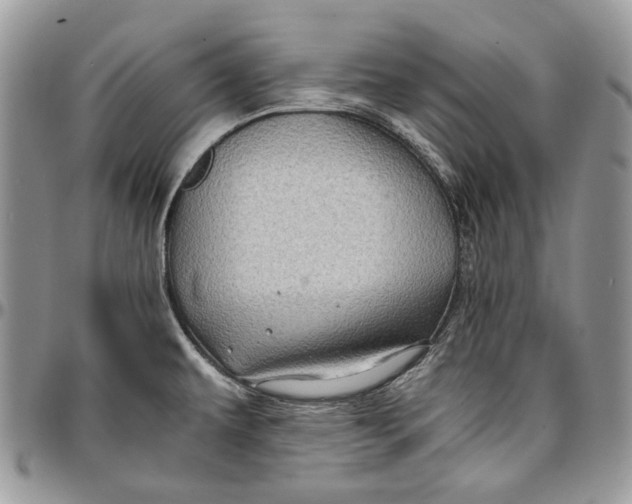 X0000096381479200802141420