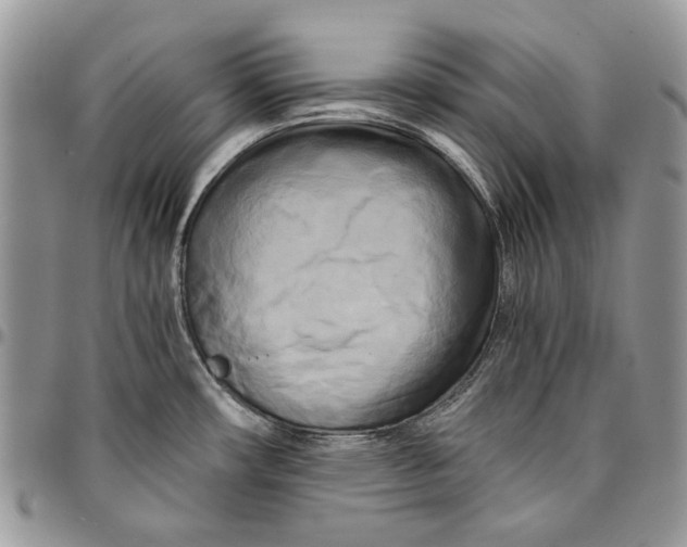 X0000096381482200802141420