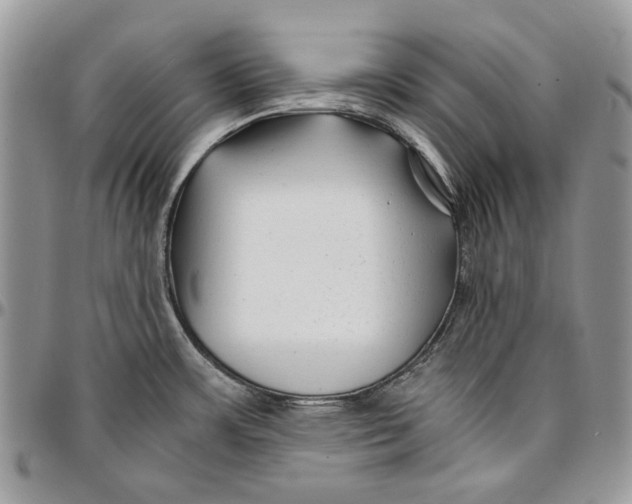 X0000096381483200802141420